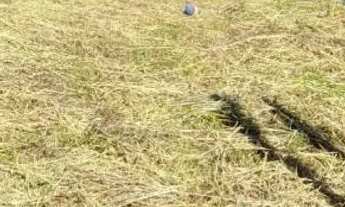 Imagem 4: Lote de 800m² Cond Ouro vermelho 2