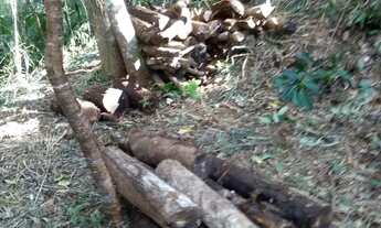 Imagem 3: Terreno 1600 m2 em Mury - Nova Friburgo - Cond com casas e natureza