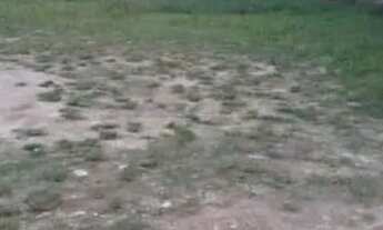 Imagem: Terreno em Santa Teresinha