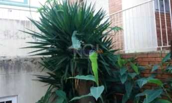 Imagem 3: Casa para Venda - 253m², 3 dormitórios, sendo 1 suites, 1 vaga - Santana