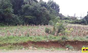 Imagem 3: Terreno para Venda em Nova Petrópolis, Pinhal Alto