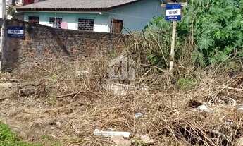 Imagem: Terreno à venda em São José dos Pinhais