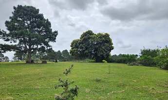 Imagem 3: Excelente área com 3Ha na localização que mais cresce na cidade!