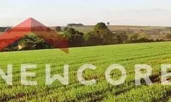 Imagem 6: Sítio em Rua Onze de Agosto - Centro - Tatuí/SP