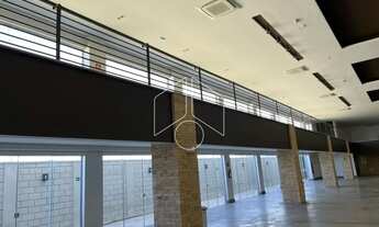 Imagem 5: Comercial GalpãoBarracão em Marília