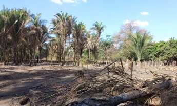 Imagem 2: Terreno de 3 hectares
