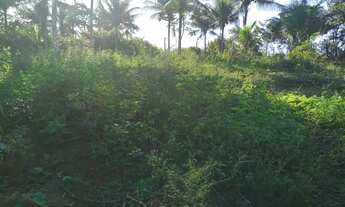 Imagem 6: Vendo excelente sítio em jaguaripe