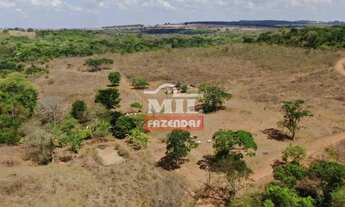 Imagem 7: Fazenda 17 Alqueires (82,28 hectares) Hidrolândia - GO