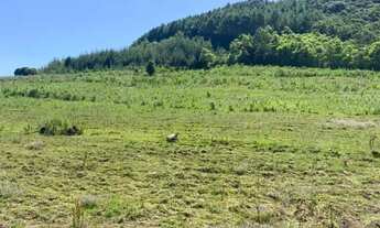 Imagem 3: Sitio - Bairro Linha Ávila
