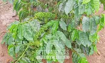 Imagem 3: Imóvel para venda possui metros quadrados em Zona Rural - Lassance - MG