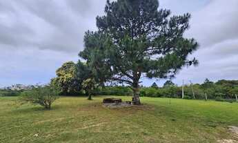 Imagem 2: Excelente área com 3Ha na localização que mais cresce na cidade!