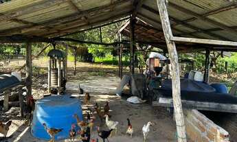 Imagem 5: Chácara 21,78 ha (4,5alqueiro) à Venda ? Divinópolis do Tocantins