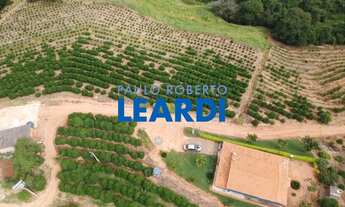 Imagem: CHACARA - FAISQUEIRA - SP