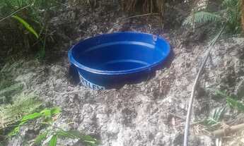 Imagem 5: VENDE-SE OU TROCO CHÁCARA EM MANTIRITUBA POR CASA EM PIRAQUARA-PR