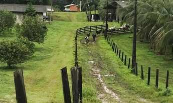 Imagem 4: Fazenda na PISTA da BR174, KM 57 com 10.360.000m2. Benfeitorias. 25 hectares de Areal. Doc