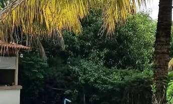 Imagem 7: Chácara em Guapiaçu Sp