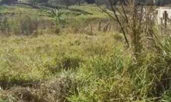Imagem 7: Lote em Funilândia -Mg R$ 50.000
