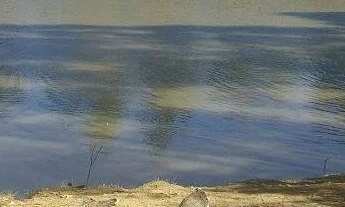 Imagem 4: TERRENO 430 M2 CONDOMINIO FECHADO 50.000,00 - PORANGABA KM 157 CASTEL