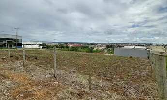 Imagem 2: Área No Setor Sul Jamil Miguel