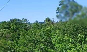 Imagem 2: Vendo linda chácara..