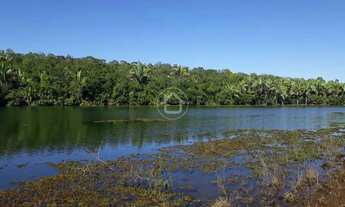 Imagem 6: LINDA CHÁCARA NO LAGO DO MANSO