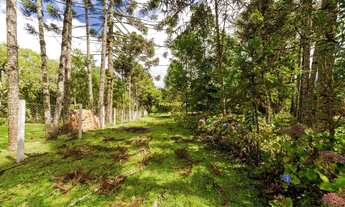 Imagem 2: Terreno à venda em Colombo