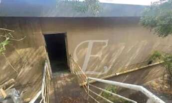 Imagem 4: Salão para alugar, 800 m² por R$ 24.680,00/mês - Tucuruvi - São Paulo/SP