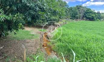 Imagem 2: Chácara próximo de Goiânia codigo: 141036