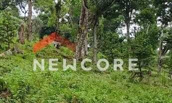 Imagem 6: Lote em Rua dos Pessegueiros - Campo do Meio - São Francisco de Paula/RS