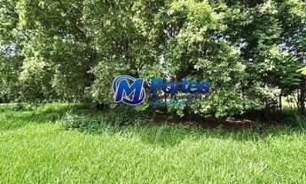 Imagem 2: Chácara Bairro Pica Pau Amarelo, 3 dormitórios, Salão de festas, Piscina, Arvores frutífer