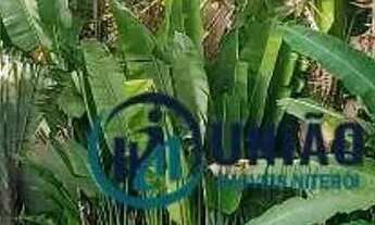 Imagem 3: Casa com 5 quartos à venda, 384 m² por R$ 2.120.000 - Piratininga - Niterói/RJ