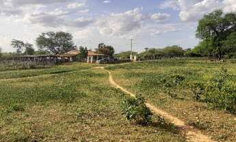 Imagem 5: Vendo fazenda Fazenda / sítio com venda por R$340.000