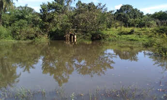 Imagem: Excelente Fazenda de 15 na divisa Pitangui/Pará