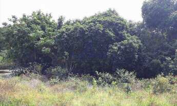 Imagem 2: Terreno, Itacimirim, Camaçari - R$ 1 mi, Cod: 67700