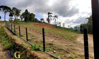 Imagem: Terreno Rural para Venda em Campo Largo
