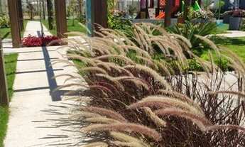 Imagem 4: Atenção - Melhor bairro planejado da Grande Florianópolis