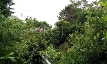 Imagem 2: Porto Alegre - Sítio - Ponta Grossa