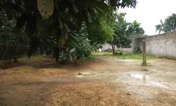 Imagem 3: Iranduba- Manaus - AM