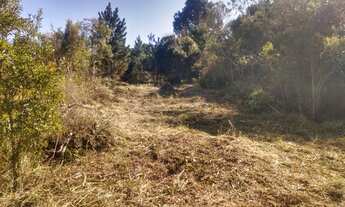 Imagem: Lote/Terreno para venda possui 500 metros