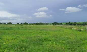 Imagem 5: Excelente Fazenda com 288 hectares na região de cajazeiras entre Macaíba e bom Jesus-RN