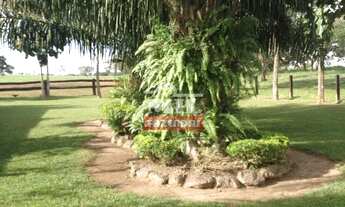 Imagem 6: Fazenda Beira Tocantins. > 1.000 Alq. (4.840 Há). p/ Soja