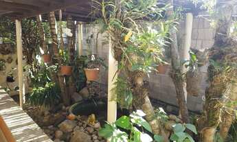 Imagem 4: Chácara em condomínio