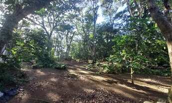 Imagem 3: Galpão com localização estratégica, em Cotia - SP