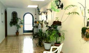 Imagem 2: Planalto Paulista - 4 dorms - rua tranquila e arborizada