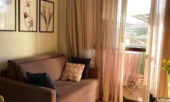 Imagem 6: Ótima oprunidade