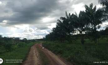 Imagem: Granja 40 mil bicos e plantação de pimenta