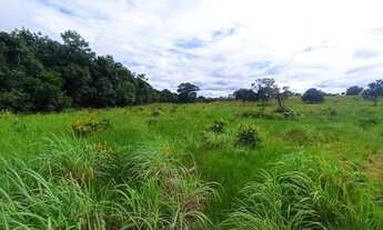Imagem 7: Fazenda em 2 Irmãos Tocantins beira do asfalto terra cultura escriturada