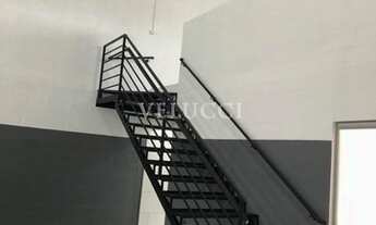 Imagem 6: Barracão - Parque dos Cocais - Valinhos