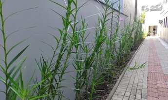 Imagem 3: Jaraguá do Sul - Apartamento Padrão - Jaraguá Esquerdo