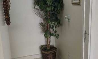 Imagem 2: Apartamento 4 suítes à venda - 195m² por R$ 1.850.000,00